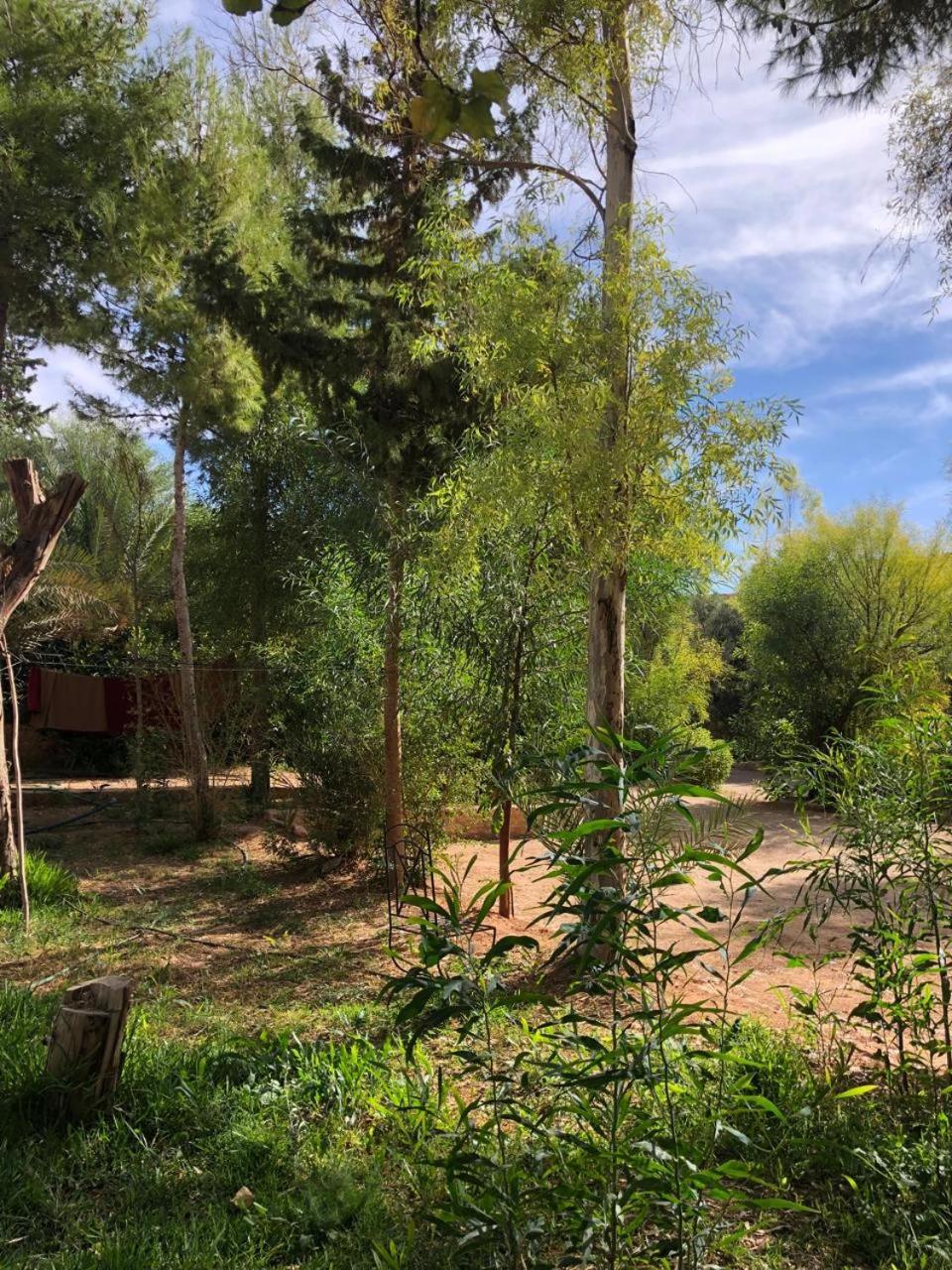 Hotel Camping Le Soleil Tinghir Esterno foto